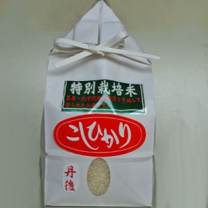 新米！特別栽培米京都丹後コシヒカリ１等１Kg白クラフト袋 | 体に