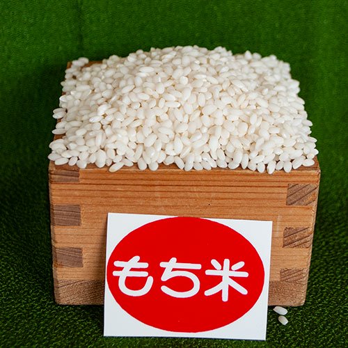 もち米 京都産新羽二重 5Kｇ | 令和6年産・ふっくらとおいしいもち米 - 丹後コシヒカリ販売京丹後の米屋　村岡助蔵商店