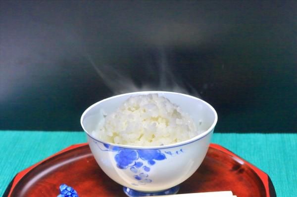 【送料無料 一等検査米】令和3年産 京都 丹後 米 コシヒカリ 白米 約18kg 京都丹後コシヒカリ 1等米10Kg | 選ばれた1等米！きれいなお米
