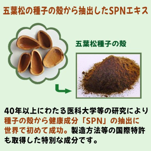 メール便可 2セットまで PEJ五葉松種子加工食品 - ビタミン