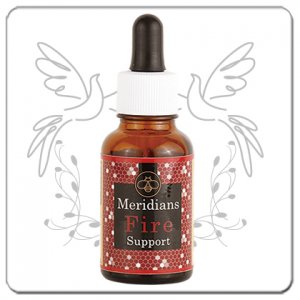 Meridians Support｜メリディアンズサポート・火(Fire) のエッセンス<img class='new_mark_img2' src='https://img.shop-pro.jp/img/new/icons1.gif' style='border:none;display:inline;margin:0px;padding:0px;width:auto;' />
