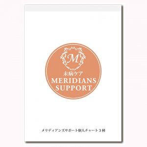 Meridians Support｜メリディアンズサポート・個人チャート（3枚×40ｾｯﾄ）<img class='new_mark_img2' src='https://img.shop-pro.jp/img/new/icons1.gif' style='border:none;display:inline;margin:0px;padding:0px;width:auto;' />