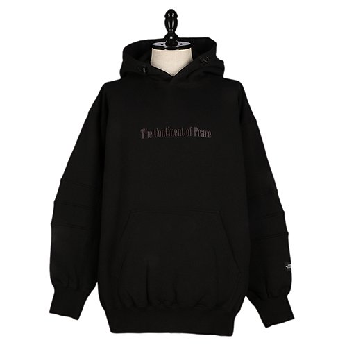 THE NORTH FACE ザ ノースフェイス Trans Antarctica Hoodie 12