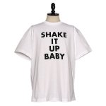 THE END<br> <br>SHAKE IT UP BABY 12
