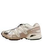 <img class='new_mark_img1' src='https://img.shop-pro.jp/img/new/icons1.gif' style='border:none;display:inline;margin:0px;padding:0px;width:auto;' />SALOMON SNEAKERS<br> ˡ<br>SPEEDCROSS 3 GTX 12