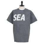 <img class='new_mark_img1' src='https://img.shop-pro.jp/img/new/icons47.gif' style='border:none;display:inline;margin:0px;padding:0px;width:auto;' />WIND AND SEA<br>󥷡<br>SEA (CRACK-P-DYE) S/S Tee 02