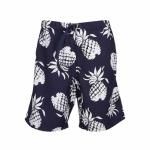 <img class='new_mark_img1' src='https://img.shop-pro.jp/img/new/icons1.gif' style='border:none;display:inline;margin:0px;padding:0px;width:auto;' />TOYO ENTERPRISE / DUKE KAHANAMOKU<br>Υ󥿡ץ饤/ ǥ塼ϥʥ⥯<br>HAWAIIAN SHORTS DUKE'S PINEAPPLE 02
