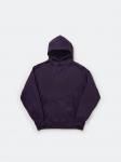 <img class='new_mark_img1' src='https://img.shop-pro.jp/img/new/icons1.gif' style='border:none;display:inline;margin:0px;padding:0px;width:auto;' />DAIWA PIER39<br> ԥ39<br>TECH SWEAT HOODIE 02