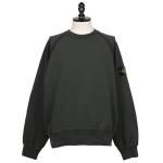 <img class='new_mark_img1' src='https://img.shop-pro.jp/img/new/icons1.gif' style='border:none;display:inline;margin:0px;padding:0px;width:auto;' />STONE ISLAND<br>ȡ󥢥<br>SWEATSHIRT 12