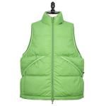 <img class='new_mark_img1' src='https://img.shop-pro.jp/img/new/icons1.gif' style='border:none;display:inline;margin:0px;padding:0px;width:auto;' />DAIWA PIER39<br>ダイワ ピア39<br>TECH ALPINE DOWN VEST 02