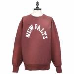 <img class='new_mark_img1' src='https://img.shop-pro.jp/img/new/icons1.gif' style='border:none;display:inline;margin:0px;padding:0px;width:auto;' />Champion<br>ԥ<br>TRUE TO ARCHIVES<br>