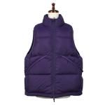 <img class='new_mark_img1' src='https://img.shop-pro.jp/img/new/icons1.gif' style='border:none;display:inline;margin:0px;padding:0px;width:auto;' />DAIWA PIER39<br>ダイワ ピア39<br>W's TECH ALPINE DOWN VEST 01