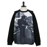 <img class='new_mark_img1' src='https://img.shop-pro.jp/img/new/icons1.gif' style='border:none;display:inline;margin:0px;padding:0px;width:auto;' />BABYLON<br>Хӥ<br>RAGLAN SWEATER 12