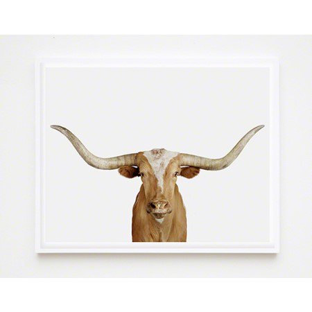 インパクトのある動物たち！(Texus Longhorn)/ Animal Art For All 