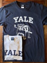 <img class='new_mark_img1' src='https://img.shop-pro.jp/img/new/icons48.gif' style='border:none;display:inline;margin:0px;padding:0px;width:auto;' />College Tee : YALE University