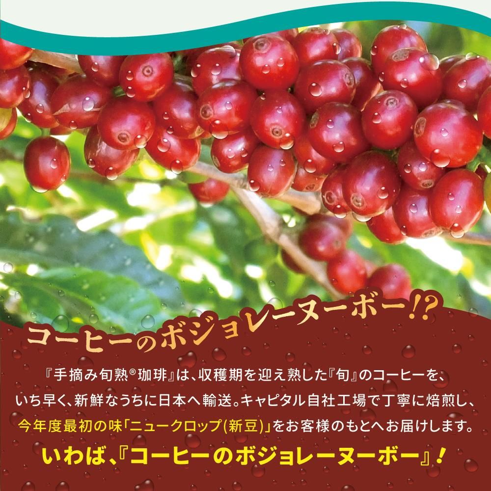コーヒーのボジョレーヌーボ?!第34回キャピタルブラジル自家農園 手摘み旬熟珈琲