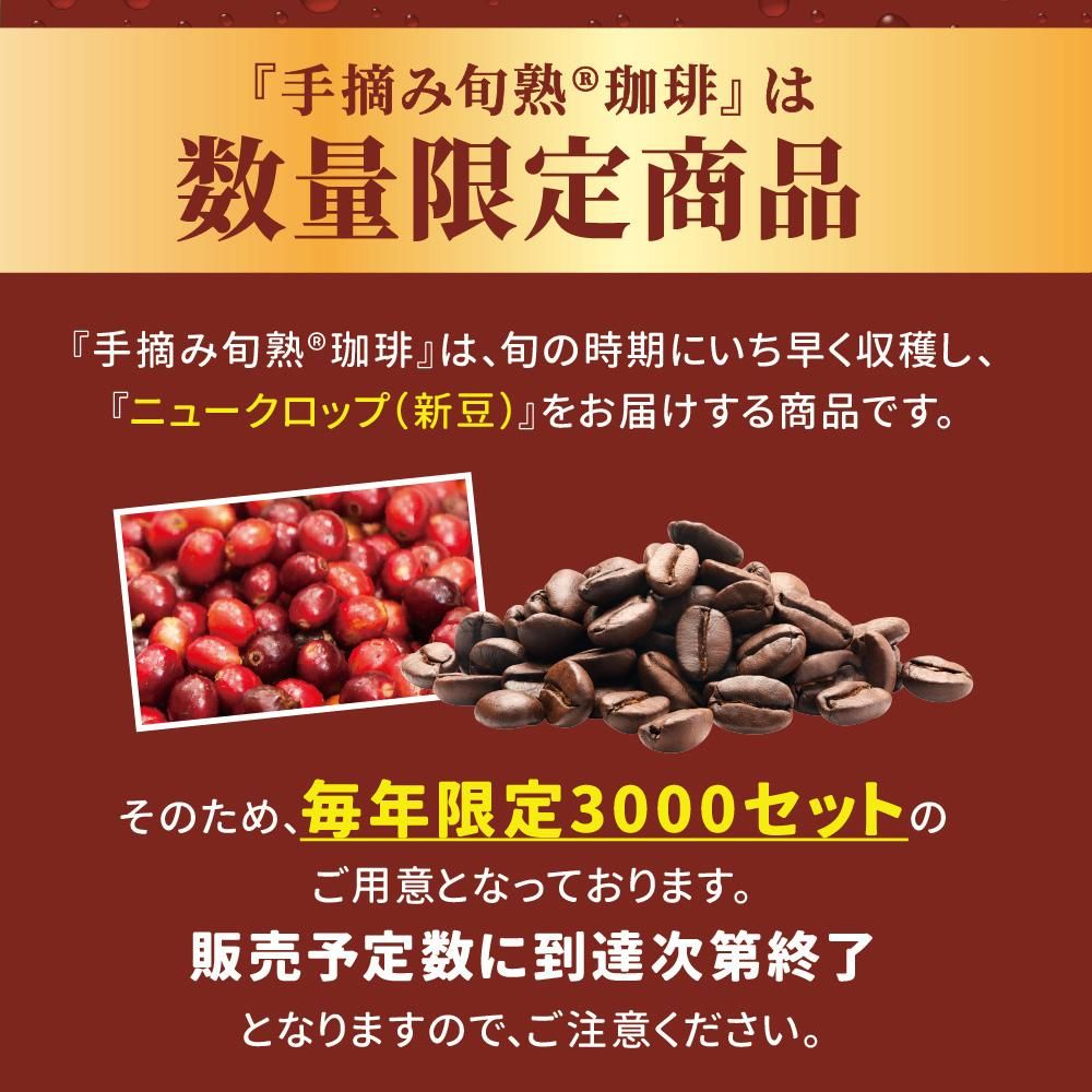 数量限定商品 2025年 第34回キャピタルブラジル自家農園 手摘み旬熟珈琲