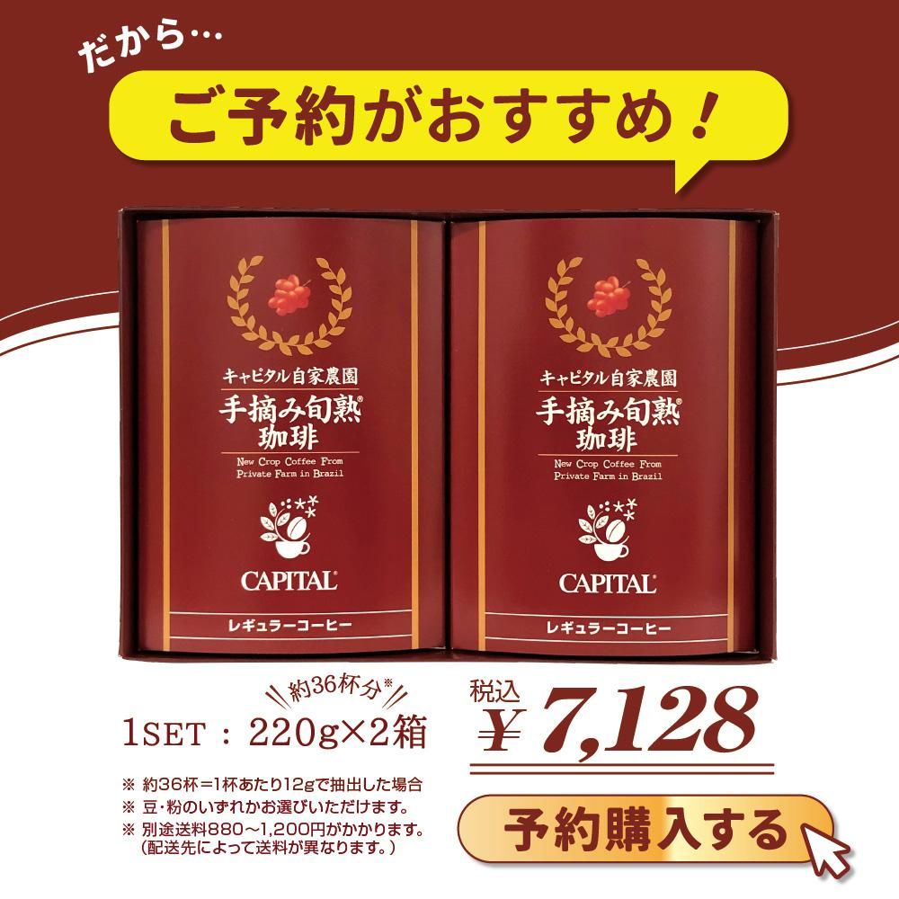 だから、早めの予約がおすすめ!2025年 第34回キャピタルブラジル自家農園 手摘み旬熟珈琲