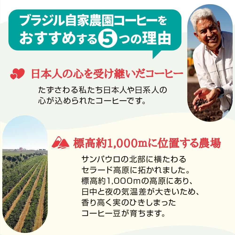 ブラジル自家農園コーヒーをおすすめする5つの理由 (1)日本人の心を受け継いだコーヒー たずさわる私たち日本人や日系人の心が込められたコーヒーです。(2)標高約1,000mに位置する農場 サンパウロの北部に横たわるセラード高原に拓かれました。標高約1,000mの高原にあり、日中と夜の気温差が大きいため、香り高く実のひきしまったコーヒー豆が育ちます。