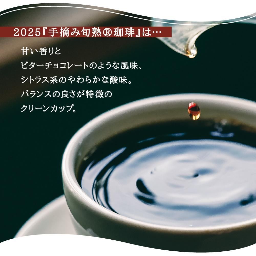 香り高く、自然な甘みとビターチョコのような程よい苦味、柔らかな柑橘系の酸味があり、バランスの良さとクリーンカップが特徴。コーヒーのボジョレーヌーボーを感じさせる、ジューシーな味わいです。