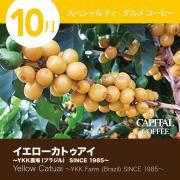 <img class='new_mark_img1' src='https://img.shop-pro.jp/img/new/icons13.gif' style='border:none;display:inline;margin:0px;padding:0px;width:auto;' />10Υڥƥᥳҡ ֥饸 YKK ȥ Ʀ(ʴޤƦ٤ޤ) 200g ޤξʲ