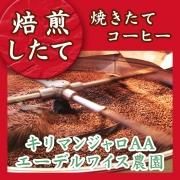 <img class='new_mark_img1' src='https://img.shop-pro.jp/img/new/icons13.gif' style='border:none;display:inline;margin:0px;padding:0px;width:auto;' />5/13ơۥޥ󥸥AA ǥ磻 ȥ졼 󥶥˥ Ʀ(ʴޤƦ٤ޤ) ޡ5/14ʹߤȯξʲ
