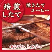 <img class='new_mark_img1' src='https://img.shop-pro.jp/img/new/icons13.gif' style='border:none;display:inline;margin:0px;padding:0px;width:auto;' />3/26ơۥ٥ ȥ饸 ȥ졼 ɥͥ Ʀ(ʴޤƦ٤ޤ) ޡ3/27ʹߤȯξʲ