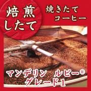 <img class='new_mark_img1' src='https://img.shop-pro.jp/img/new/icons13.gif' style='border:none;display:inline;margin:0px;padding:0px;width:auto;' />5/20ơۥޥǥ ӡ® 졼1 Ʀ(ʴޤƦ٤ޤ) ޡ5/21ʹߤȯξʲ