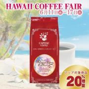6/17ޤ20̡ϥ磻 ԡ٥꡼ Ʀ(ʴޤƦ٤ޤ) 100g〜  ϥ磻ҡեξʲ