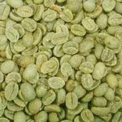コーヒー生豆100g×40袋(ブラジル,コロンビア,グアテマラ,マンデリン)
