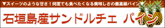 石垣島産サンドルチェ パイン
