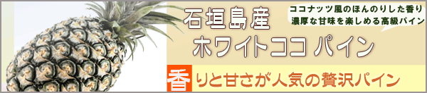 ۥ磻ȥ