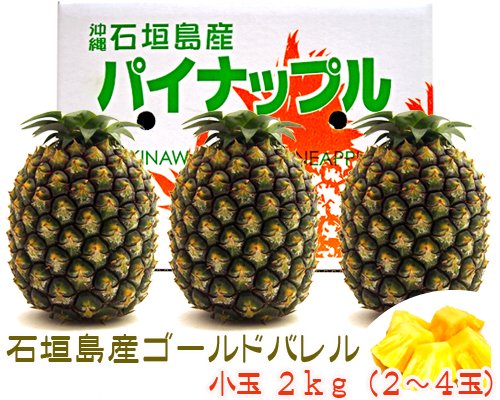 石垣島ゴールドバレル 小玉２ｋｇ(2～4玉)送料無料 販売/サン石垣通販