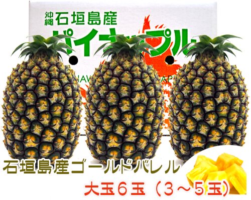 石垣島ゴールドバレル大玉６ｋｇ(約３～５玉)送料無料 販売/サン