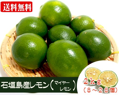 石垣島レモン（グリーンレモン）２ｋｇ※送料無料 販売/サン石垣通販