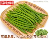 石垣島産インゲン（すじなしいんげん）１ｋｇ 送料無料 販売/サン石垣通販