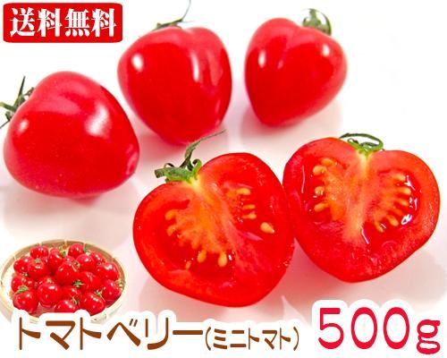 石垣島産トマトベリー５00ｇ 販売 サン石垣通販