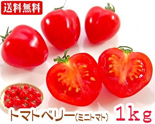 石垣島産トマトベリー ミニトマト １ｋｇ 販売 サン石垣通販