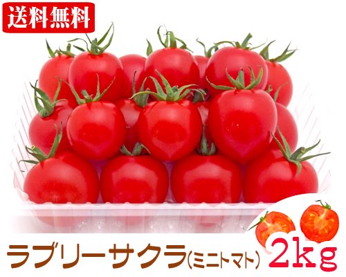 石垣島産ラブリーさくら（ミニトマト）２ｋｇ 販売/サン石垣通販