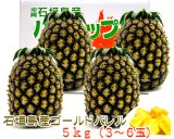 最高級パイン「石垣島ゴールドバレル５ｋｇ（３～６玉）」/サン石垣通販