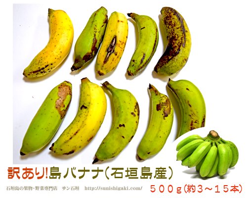 石垣島産バナナ専用問い合わせページ - 果物