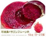 石垣島ドラゴンフルーツ赤 １ｋｇ ２ ４個 送料無料 販売 サン石垣通販