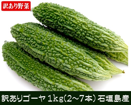 訳あり特価！ゴーヤー１ｋｇ（２～７本）販売　石垣島産/サン石垣通販