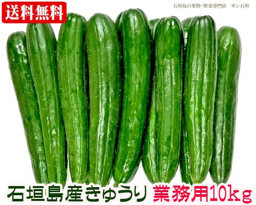 業務店向け！きゅうり（胡瓜）１０ｋｇ石垣島産 送料無料/サン石垣通販