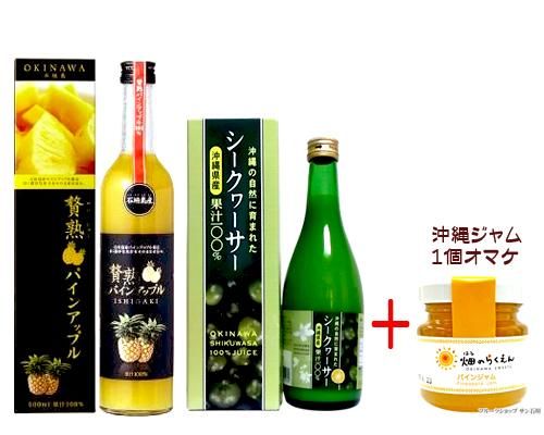初売り市限定 沖縄フルーツジュースセット2 販売 サン石垣通販 初売り市限定 沖縄フルーツジュースセット2 販売 サン石垣通販