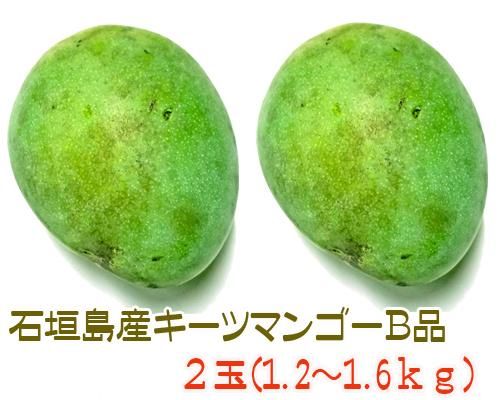 石垣島産b級品キーツマンゴー2玉 販売 サン石垣通販 石垣島産b級品キーツマンゴー2玉 販売 サン石垣通販
