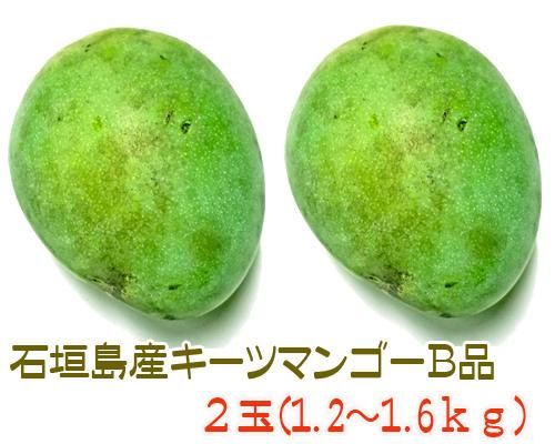 石垣島産ｂ級品キーツマンゴー２玉 販売 サン石垣通販