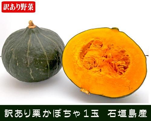 訳あり栗かぼちゃ１玉(600g～900g) 石垣島産 販売/サン石垣通販