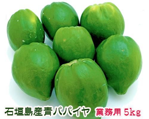 石垣島産青パパイヤ（野菜）5kg - 石垣島の果物・野菜専門店