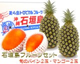 石垣島フルーツセット販売/サン石垣